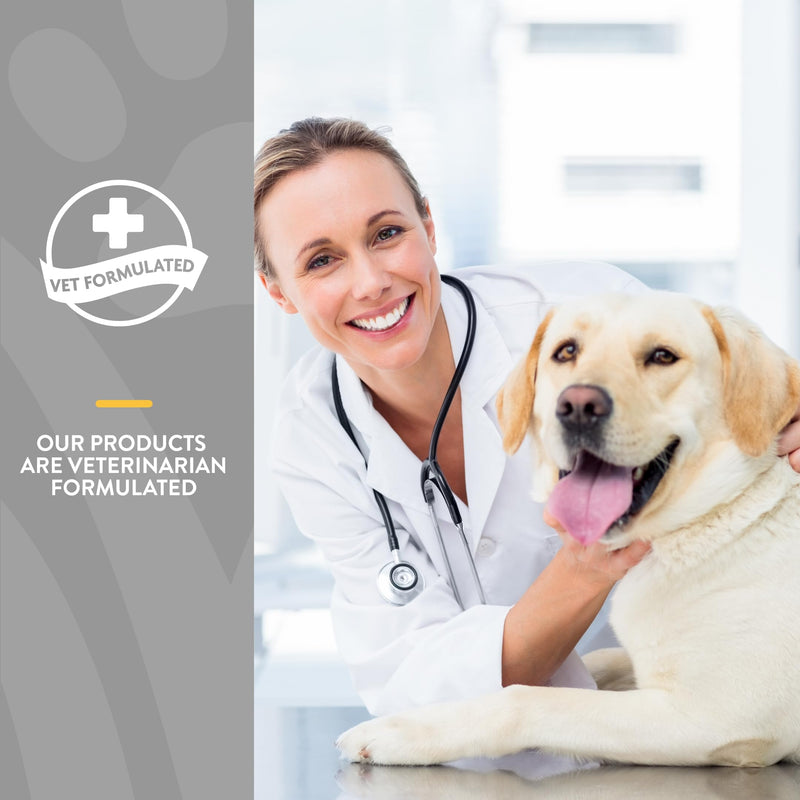 NaturVet – Senior Wellness Hip & Joint Advanced Plus Omegas | Help Support Your Pet’s Healthy Hip & Joint Function | Supports Joints, Cartilage & Connective Tissues | 120 Soft Chews 120 SoftChews - BeesActive Australia