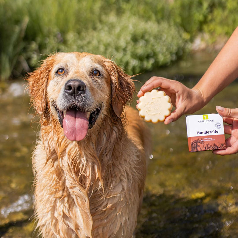 New: Green Door Dog Soap in Tin Tin, 80g, Natural Soap, Natural Grooming for Dogs and Cats, Dog Shampoo, Shampoo, Shampoo, Pet Natural Care Cosmetics Manufaktur – Affordable Da Smooth