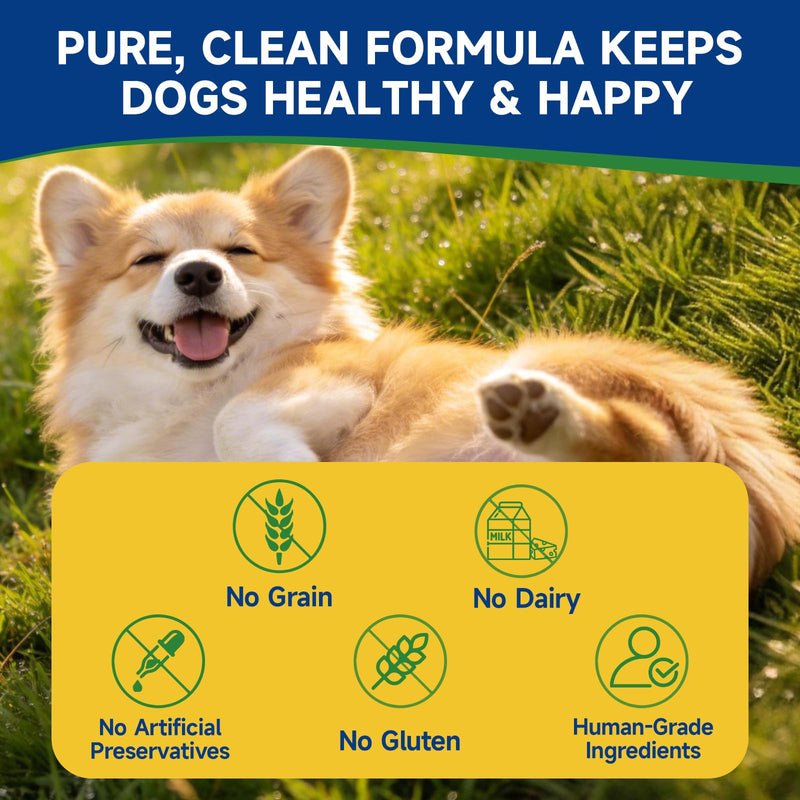 NAD Supplement for Dogs - NAD Soft Chews for Senior Dogs - Energy & Vitality, Anti-Aging, Cognitive Function - NR, Trans-Resveratrol, Quercetin, Glucosamine HCI - 140 Chews, Chicken Flavor