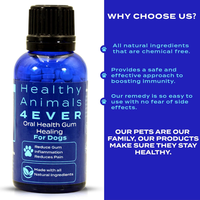 Healthy Animals 4 Ever Oral Health Gum Healing for Dogs - Relieves Inflammation, Soothes Pain, Fights Gum Disease - Natural, Non-GMO, Organic - Gluten, Preservative & Chemical Free Supplement - 300 ct - PawsPlanet Australia