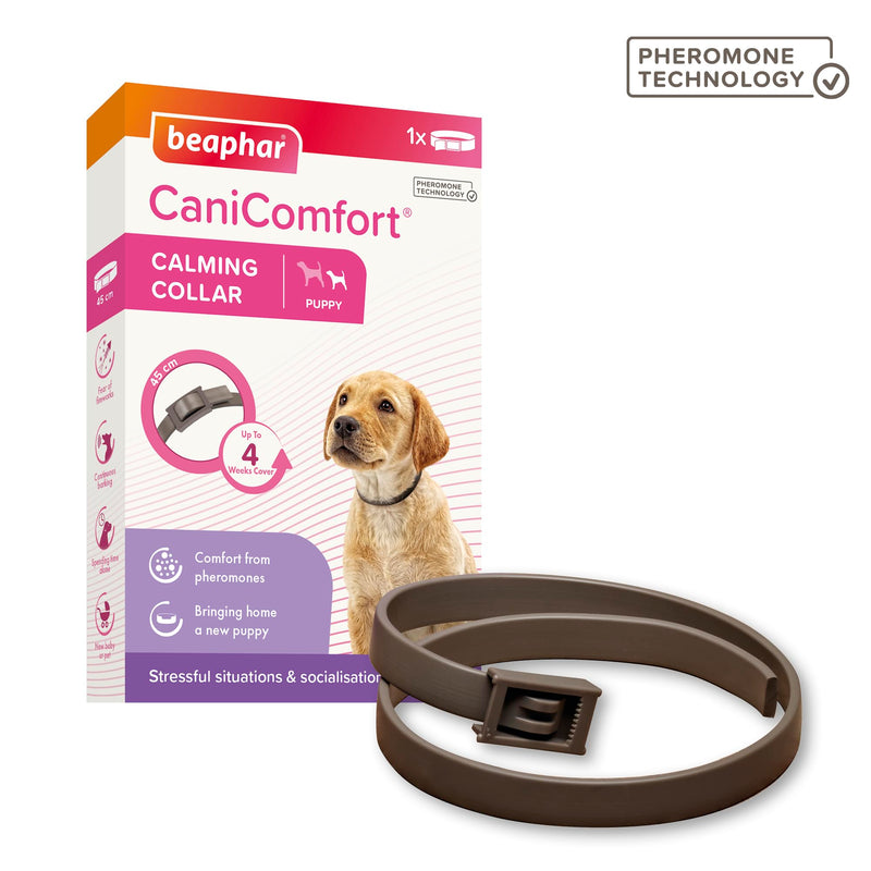 Beaphar - CaniComfort® Calming Collar For Puppies – Reduces Stress & Anxiety – Pheromone Calming for Puppies – Long-Lasting Up To 4 Weeks – Ideal for Anxious Dogs & Long-Term Stress – 1 x 45cm Collar