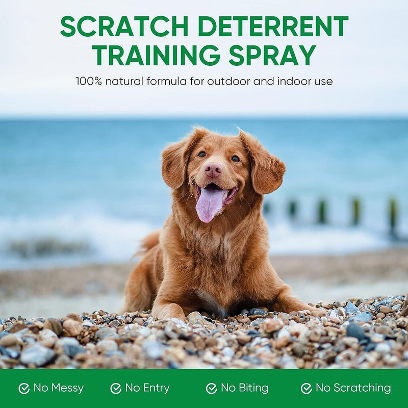 Bitter Spray for Dogs to Stop Chewing, No Chew Spray for Puppies & Dogs, Effective Dogs Behavior Training Aids, Protect Your Furniture and Prevents Dogs from Biting 50ML - BeesActive Australia