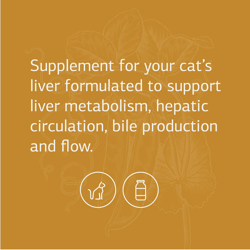 Standard Process Feline Hepatic Support - Cat Health Supplement for Liver Support - Hepatic Circulation & Liver Metabolism Aid - Tablet Supplement to Aid Hepatic Immune Function - 90 Tablets - BeesActive Australia