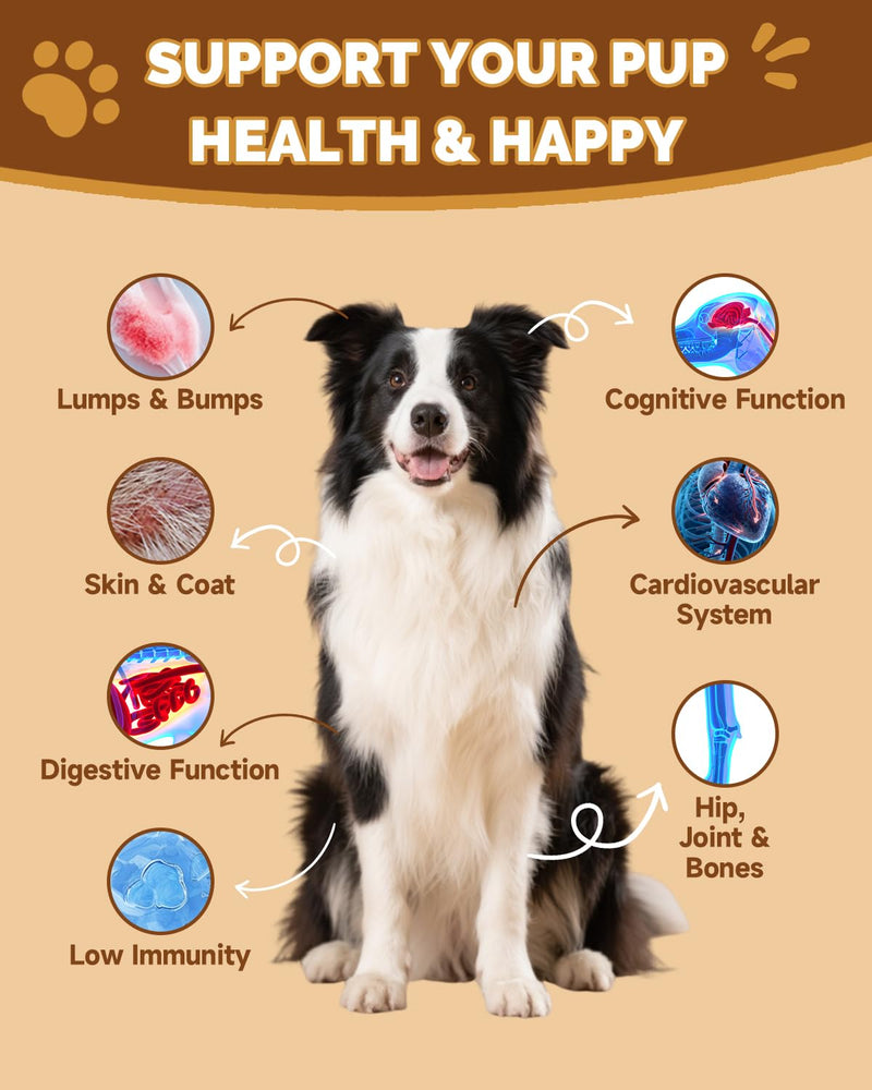 9 in 1 Mushroom Supplement for Dogs - Digestive, Cellular, Immune Health Support, Mushroom Immune Dog Chews Turkey Tail Mushroom for Dogs - Gut, Skin, Joint, Immune Health- Dog Lumps & Bumps