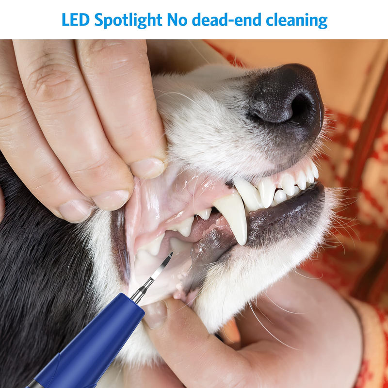 AMIR Ultrasonic Pet Plaque Remover, Electric Teeth Cleaning Kit for Dogs & Cats with 5 Modes, LED Light, IPX6 Waterproof, USB Rechargeable Toothbrush Cleaner for Dogs Cats (Blue)