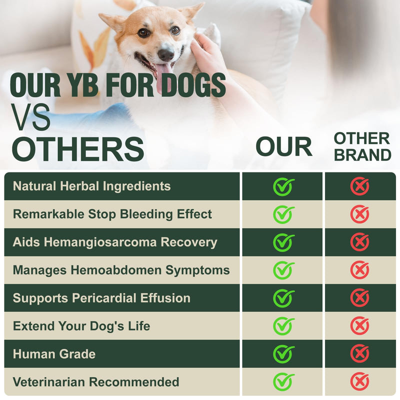 Yunnan Sanqi Powder for Hemangiosarcoma and Immune Support in Dogs, High in PSP & Beta Glucans, 8 Critical Mushrooms for Holistic Defense, Supports Cancer-Related Bleeding, Hemoabdomen, 3.5 oz