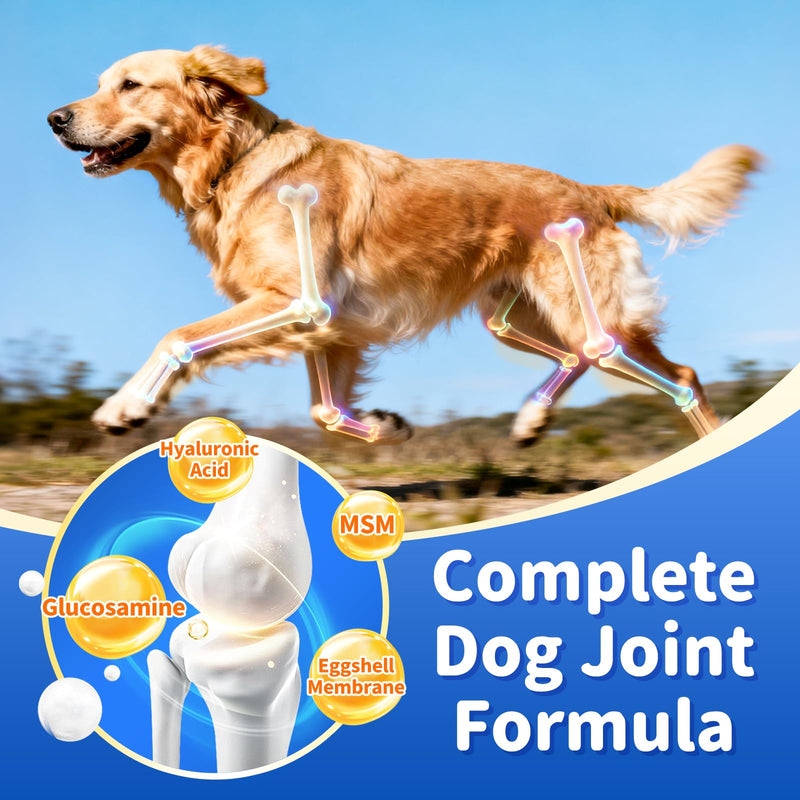 Senior Dog Liver & Joint Supplement – Same, Milk Thistle (Silybin), Glucosamine, MSM for Liver Health Detox, Mobility, Joint Pain Support, Cognitive & Vitality Support, Beef Flavor, 90Ct 90 Count (Pack of 1)