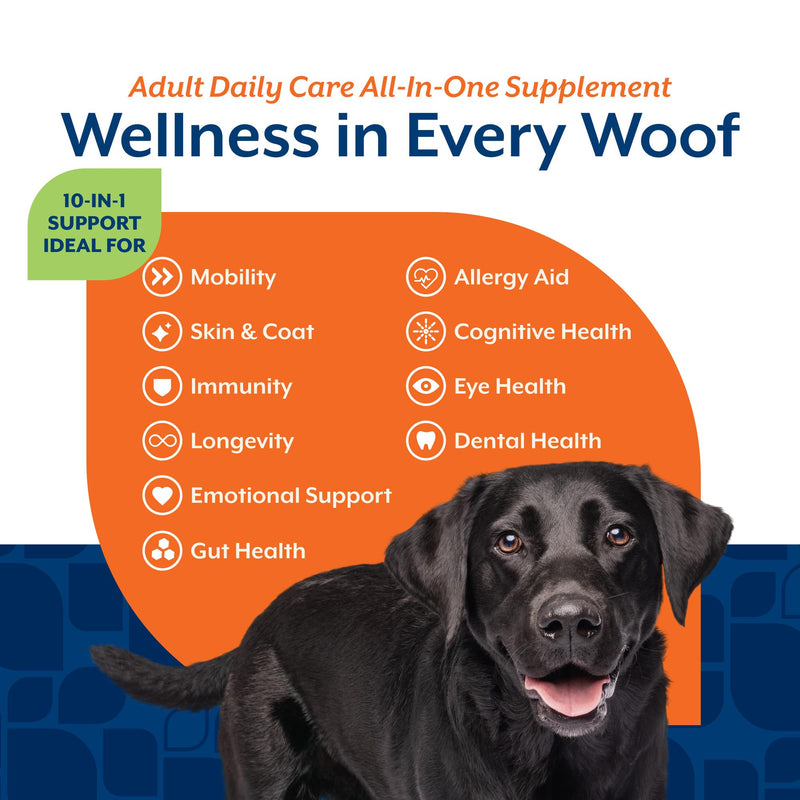 NaturVet All-in-One Adult Dog Daily Care, 10-in-1 Supplement Dog Soft Chews for Mobility, Skin, Digestion, Teeth, Cognition, Eyes, Hickory Smoked Bacon Flavored Pet Supplement for Dogs, 60 Count Adult- 60 Soft Chews
