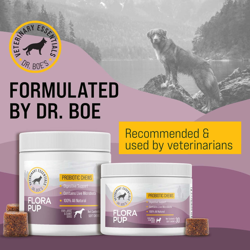 FloraPup Probiotic & Digestive Support for Dogs – Promotes & Maintains Gut Health, Reduces Inflammation, Immune System Support Small & Medium Dogs