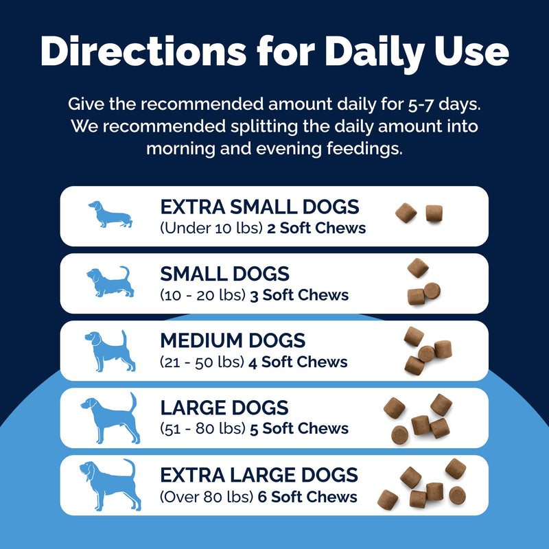 Vetnique Glandex Rapid Digestive Support for Dogs with Loose Stool | Diarrhea - Probiotics and Pumpkin for Dogs to Help Firm Dog Poop - 25 Chicken Flavored Soft Chews (25ct, Anti-Diarrhea) 25ct