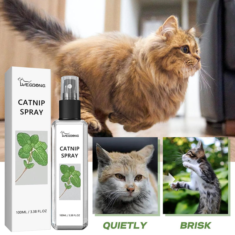 Xionghonglong catnip spray for cats, 100% natural without additives, catnip spray, cat joy spray, for cats and kittens, 100 ml (3.38 oz) white lv - BeesActive Australia