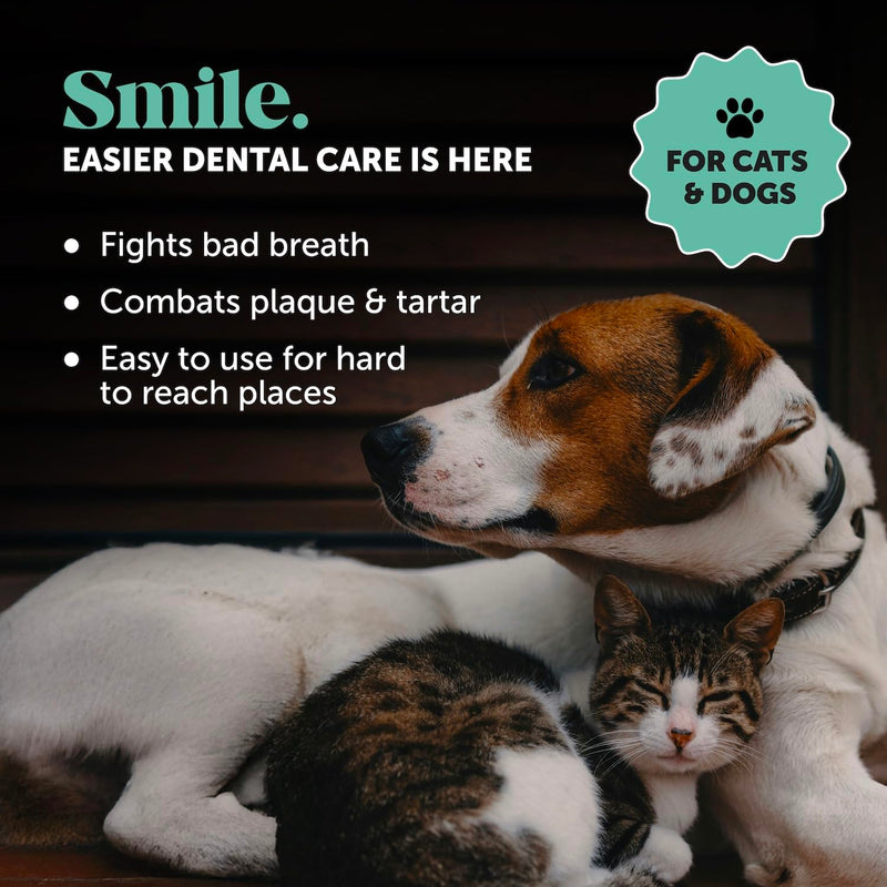 Pet Honesty Dog Dental Care Virtual Bundle – Dental Finger Wipes (30 Ct) + Brush Buddies Dental Sticks for Small Dogs (25 Ct) – Teeth Cleaning, Plaque & Breath Support