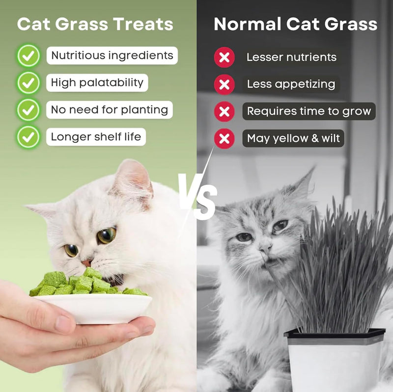 Meowly 110g Cat Grass Treats for Teeth Cleaning and Hairball Removal, Natural Dried Cat Grass Teething Stick Snacks for Cats 3.8 Ounce (Pack of 1)