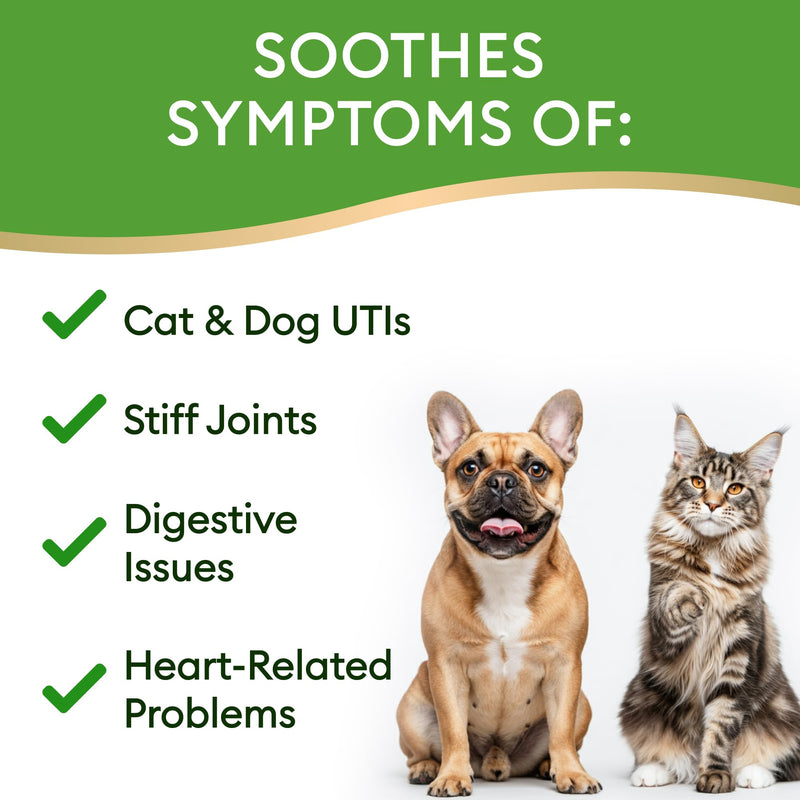 15-in-1 Liquid Multivitamin for Dogs & Cats - Glucosamine for Dogs, Cranberry, Vitamin B Complex - Balanced Ingredients for Joint, Digestive, Immune, Skin & Coat and UTI Support - US Made - 2.0Fl Oz 6.0 fl oz