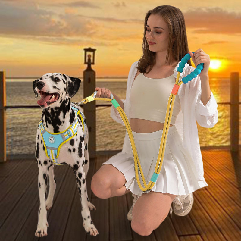 JSXD Dog Leash,5 FT Heavy Duty Dog Training Leash,Double Handle Comfortable Padded Hands Free Dog Leash,Adjustable Crossbody Waist Leash for Small Medium Large Dogs(Yellow) Yellow