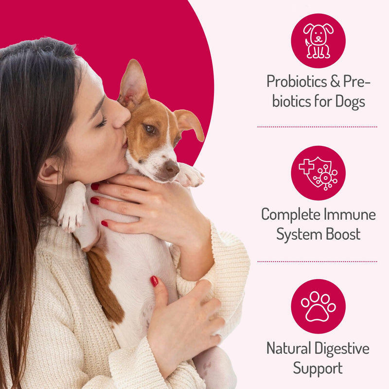 PureBlend Probiotic Soft Chews for Dogs — Dog Gut Health Supplement with Pumpkin, Prebiotics, Enzymes & Vitamins — 120 Chews, Up to 4 Month Supply