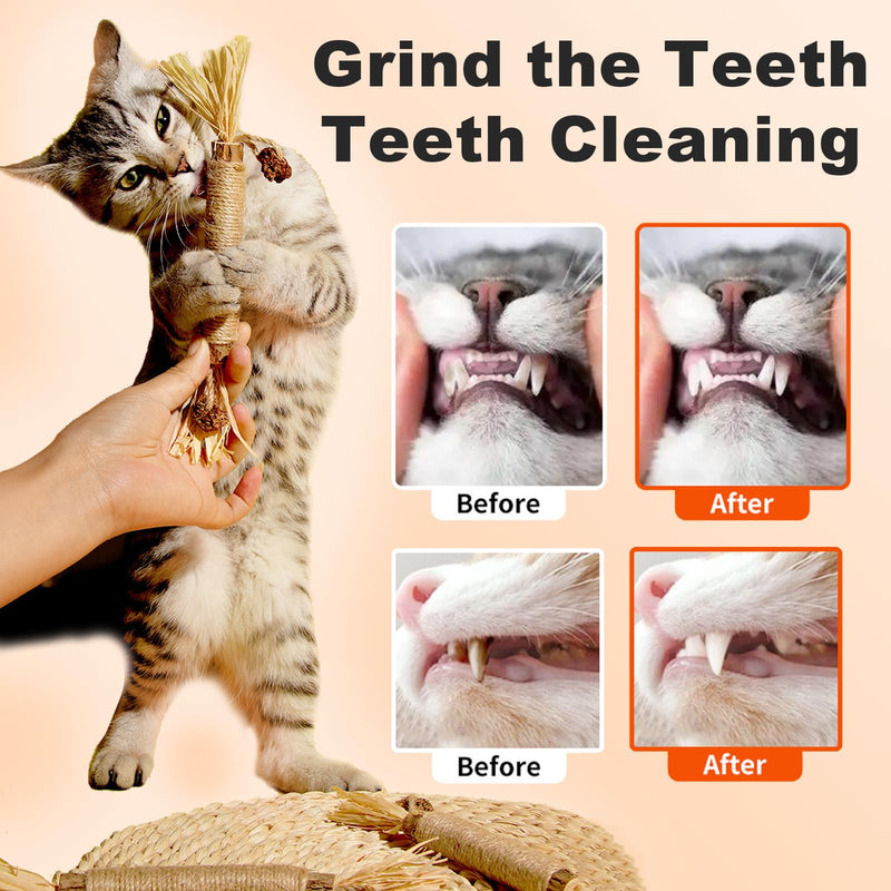 Natural Silvervine Dental Sticks, Natural Silvervine Sticks for Cats, Cleaning Dental, Scratch and Bite Resistant, Calm Cat Boring, for Indoor Kitty Interactive Kitten Chew Playthings (3Pcs) 3Pcs