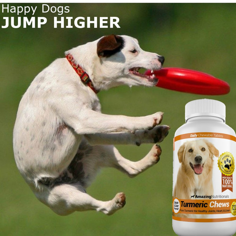 Probiotics for Dogs Digestive Health Turmeric Joint Support Bundle - Eliminates Joint Pain Inflammation, Incontinence, Gas and Diarrhea Soft Chews