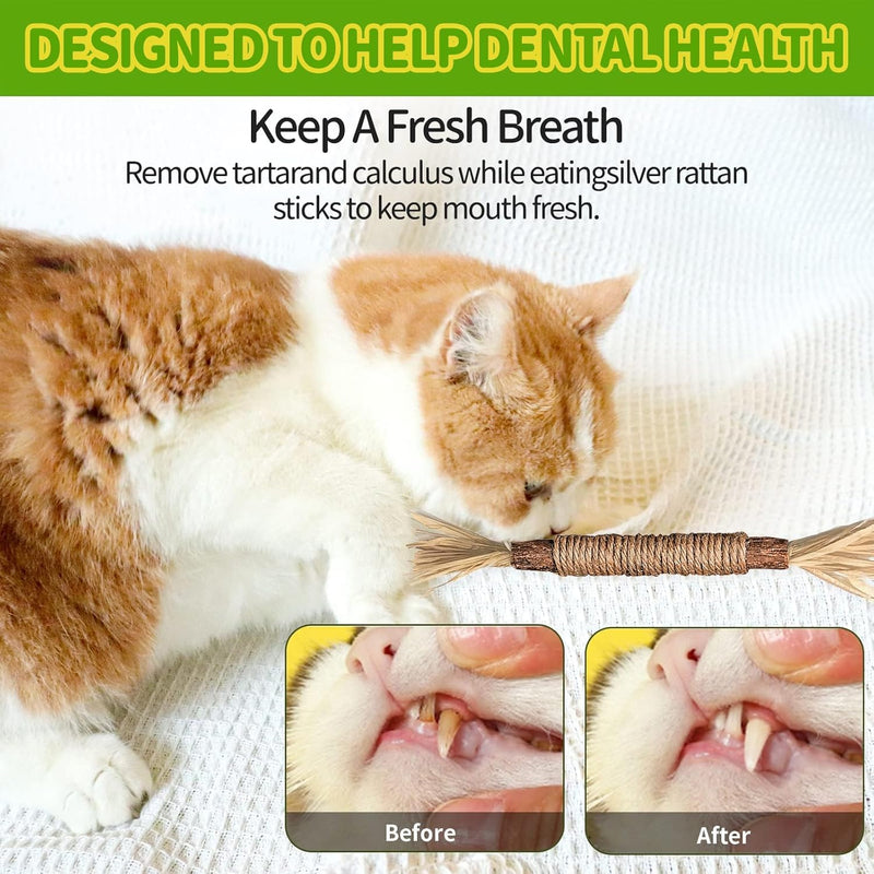 Catnip sticks, pack of 6 catnip sticks, chewing sticks for cats, cat dental care toys, dental chewing sticks help with tartar and bad breath, healthy hygiene dental care, brown - BeesActive Australia