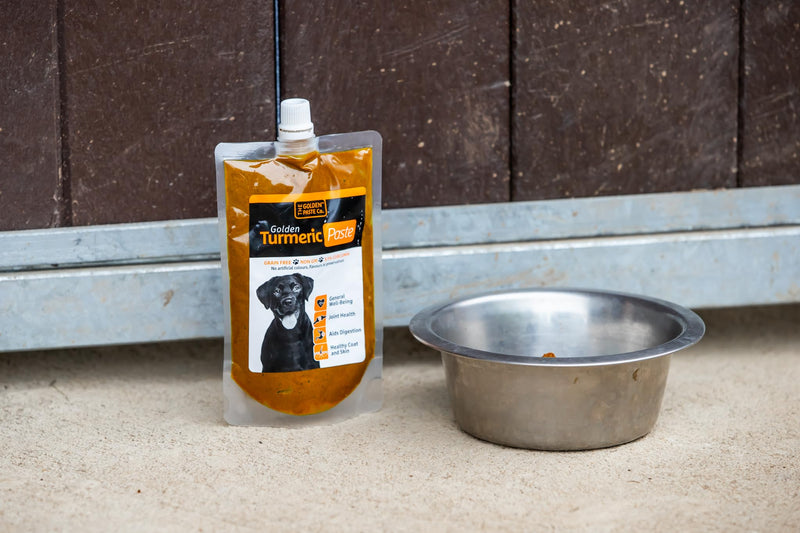The Golden Paste Company for Dogs Anti Inflammatory Cycles - 200g - Turmeric Joint Health Supplement with Ceylon Cinnamon, Apple Cider Vinegar & Coconut Oil for Dogs 200 g (Pack of 1)