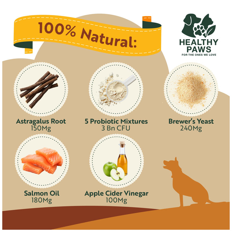 Healthy Paws Itch Immunity Treats for Dogs – Allergy & Itch Relief Chews for Skin, Paws, Eyes & Ears – Stop Itching, Licking & Scratching – Seasonal Allergy Support – Small, Medium & Large Dogs
