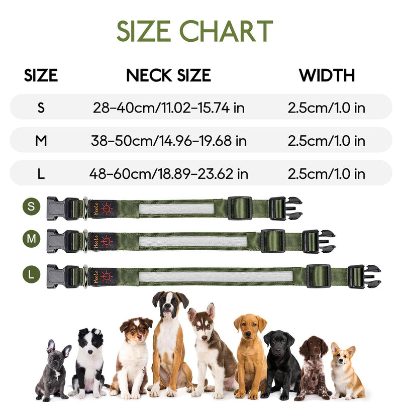 HEELE Luminous Dog Collar, Luminous Collar, Type-C Rechargeable, Luminous Dog Collar, Waterproof, LED Collar for Dogs, Dog Collar with 3 Lighting Modes, Green, M - BeesActive Australia