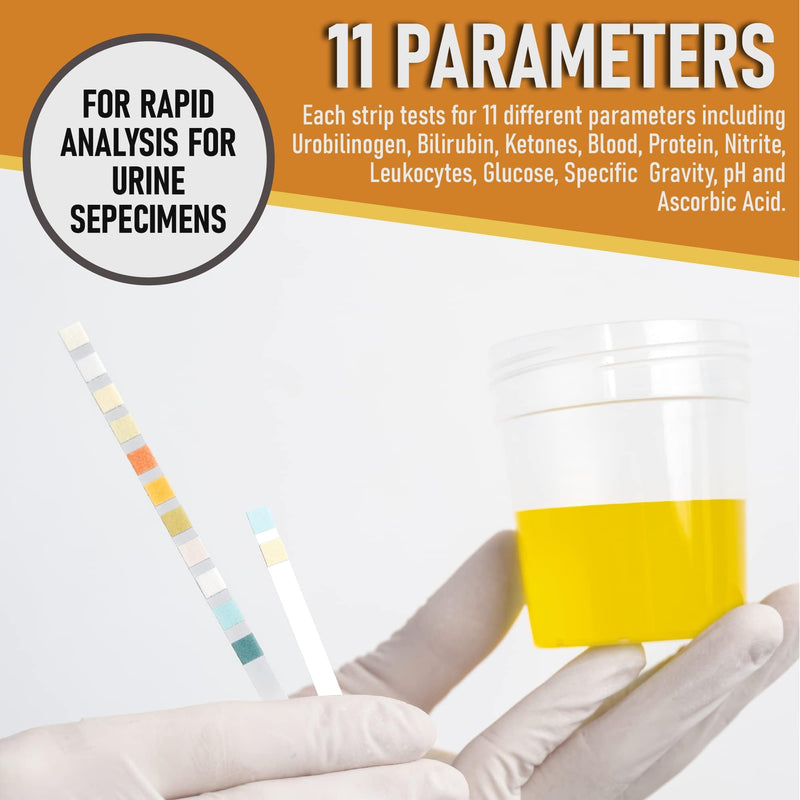 100 PCS UTI test strips - 11 in 1 Urine Test Strips for Women & Men - Easy to Use for Quick & Accurate Results, Urine Test Strips at Home UTI Test, Leukocytes, Nitrite, PH, etc | Easy to Read Results - BeesActive Australia