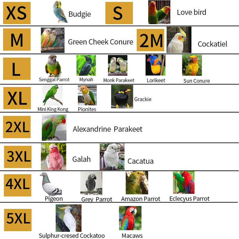 Parrot Neck Collar Pet Anti-bite Picking Feather Healing Protective Neck Cover Collar for Birds (M) M