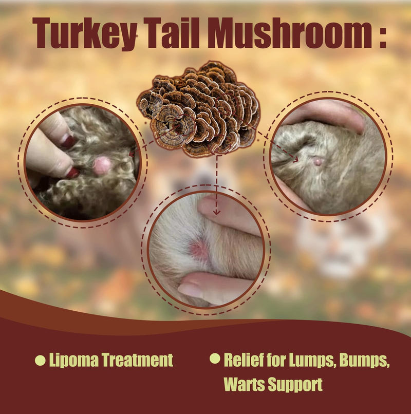 Turkey Tail Mushroom Extract for Dogs & Cats Lipoma Lumps Bumps Warts, | Boost Immunity, Young Weak & Senior & Low-Vitality & Post-Surgery Pets, with Chaga & Reishi Mushrooms Extract