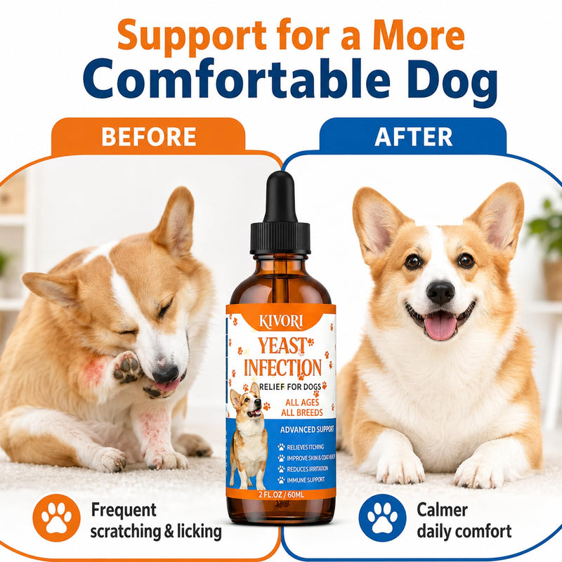Kivori Yeast Infection Drops for Dogs, 2fl.Oz/60ml Yeast Infection Treatment for Dogs, Anti Yeast Drops, Ear and Paw Itch, Herbal Dog Supplement Drop for All Ages All Breeds. (1PCS) 1PCS