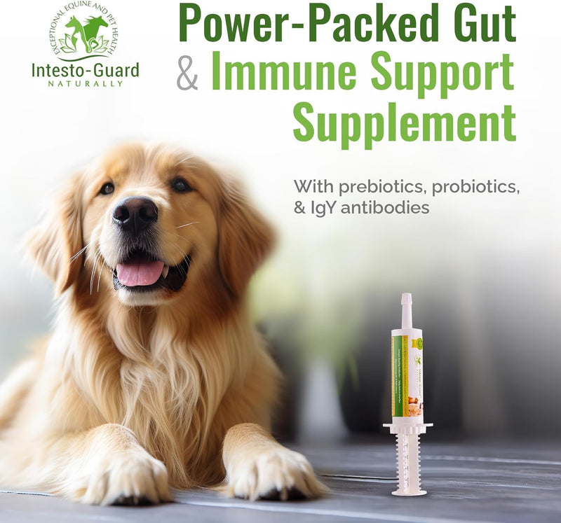 Probiotics Paste for Dogs Prebiotic for Canine, Gut Support, & Immune Boost, All Natural with 1 Billion per ML Includes (MOS)+ Beta Glucans + D-Mannose, No Animal by-Products - 30ML Single Tube 30ML Tube
