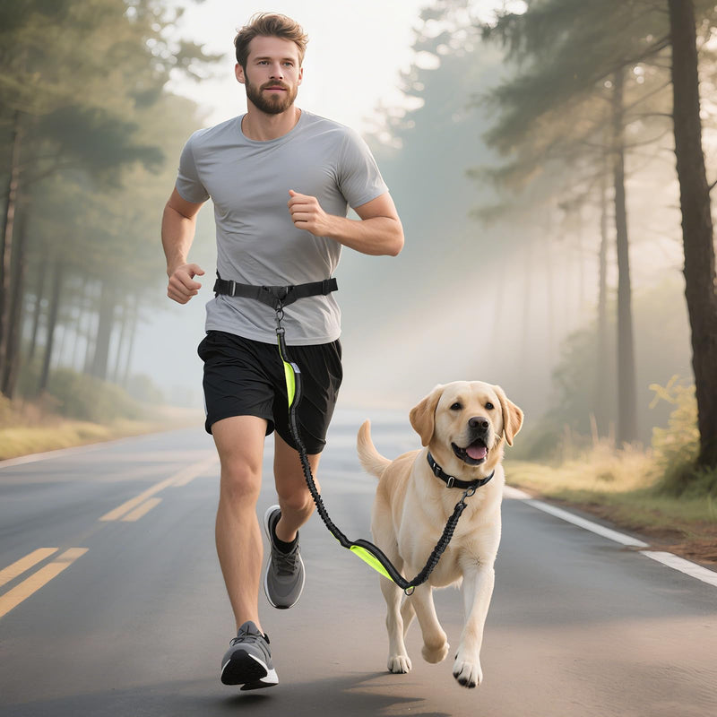 Hands Free Dog Leash for Medium Large Dogs, Waist Support Padded Bungee Dog Running Leash with Reflective Stitching for Walks, Jogging, Running, Hiking, and Dog Training for One Dog Black/Green - BeesActive Australia