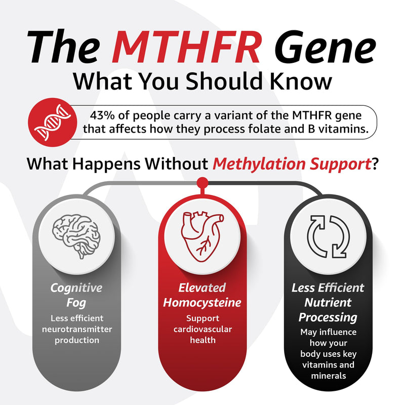10X Health 5 Mthf - 60 Capsules | L Methylfolate: Methylated Folate & Magnesium, Brain & DNA Support, Bioavailable