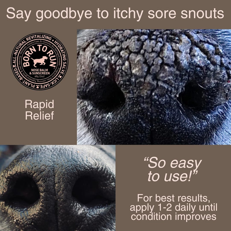 Born To Run Dog Nose Balm | Dry Cracked Chapped Snout Soother | Moisturizes Heals Natural Sunscreen & Cold Winter Protection | Hyperkeratosis Relief Plant-Based Fragrance-Free Lick Safe Nose Cream 2oz - PawsPlanet Australia