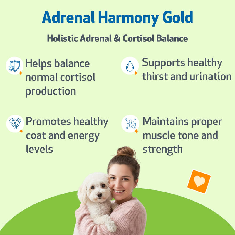 Pet Wellbeing Adrenal Harmony Gold for Dogs - Supports Adrenal Function & Normal Cortisol Levels with Ashwagandha & Bacopa - NASC Certified & Vet-Formulated - 2 oz Liquid Formula 2-Ounce