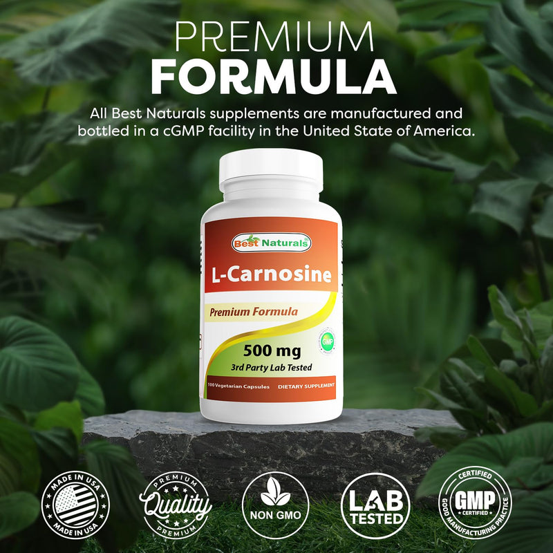 Best Naturals L-Carnosine 500 mg 100 Vcaps (100 Count (Pack of 2)) 100 Count (Pack of 2)