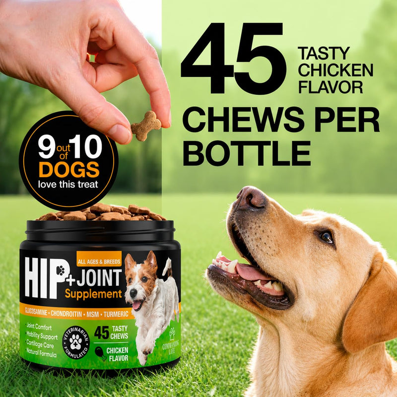 Glucosamine for Dogs – Hip and Joint Supplement Chews for Small, Medium & Large Dogs – Joint Pain & Mobility Support – Soft Chews for Pain and Inflammation Relief, 45 Chews