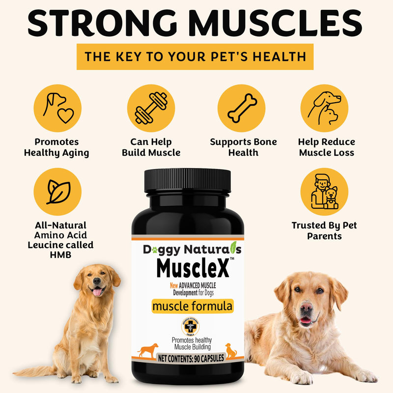 MuscleX™ Canine Muscle Formula Dogs with CaHMB 500 mg and Vitamin D3 - Natural Muscl Building Formula - Helps Reduce Muscle Loss Due to Normal Aging and Improves Recovery from Injury (90 Capsules)