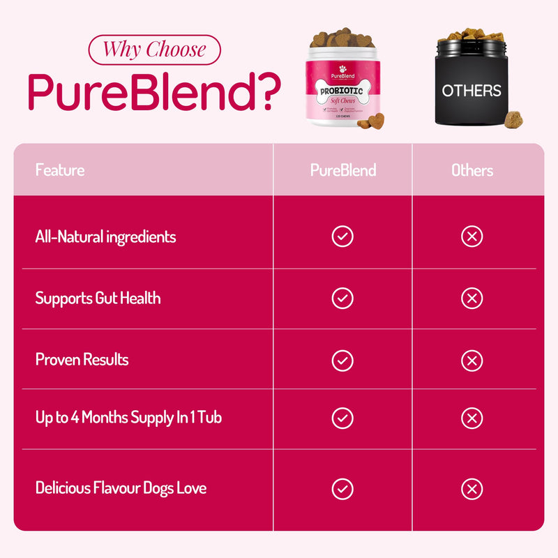 PureBlend Probiotic Soft Chews for Dogs — Dog Gut Health Supplement with Pumpkin, Prebiotics, Enzymes & Vitamins — 120 Chews, Up to 4 Month Supply