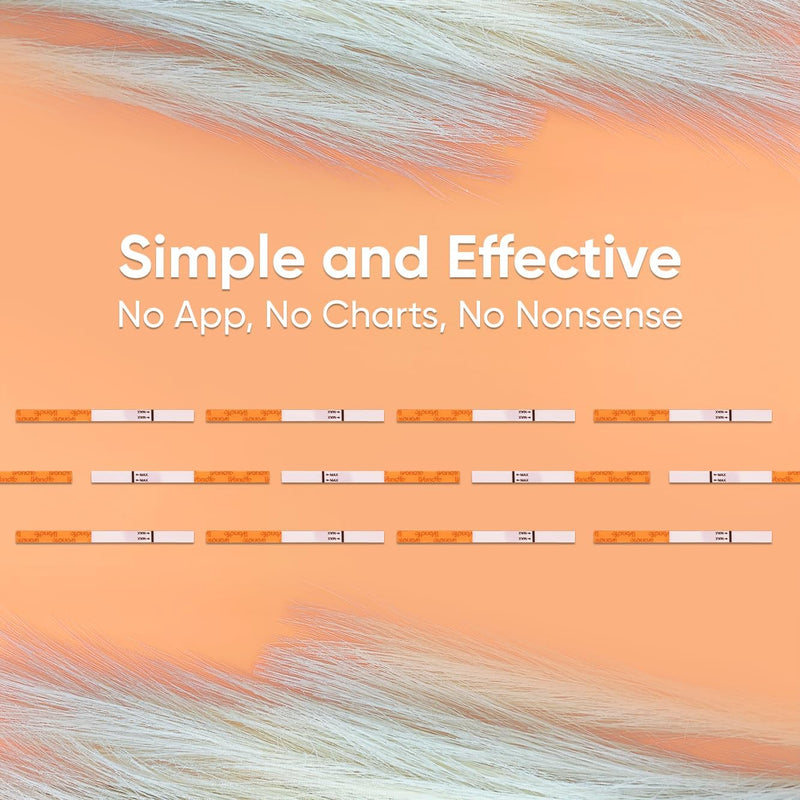 Wondfo Pregnancy Test Strips - HCG Detection 25 MIU/ml, Home Test of Reliable Result - 10 Count 10 Count (Pack of 1) - BeesActive Australia