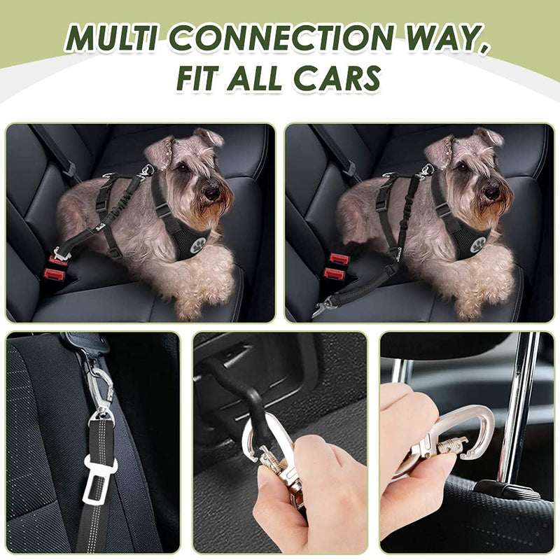 SlowTon Dog Seat Belt Harness for Car, Dog Car Harness Adjustable Mesh Breathable & Dog Seatbelt Safety Tether with Elastic Bungee for Small Medium Large Pets(Black, Double Clip, M) A-Black - BeesActive Australia