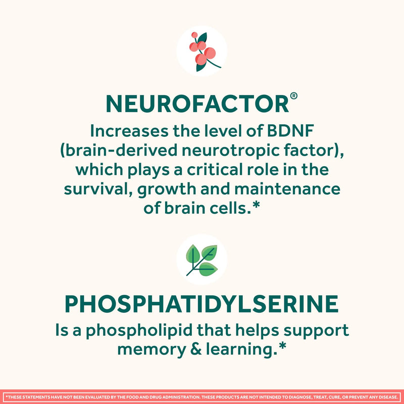 NEURIVA Original Brain Supplement for Memory, Focus & Concentration with Clinically Tested Nootropics Phosphatidylserine and Neurofactor, Strawberry Flavor, 50 Gummies (2 Pack) 50 Count (Pack of 2)