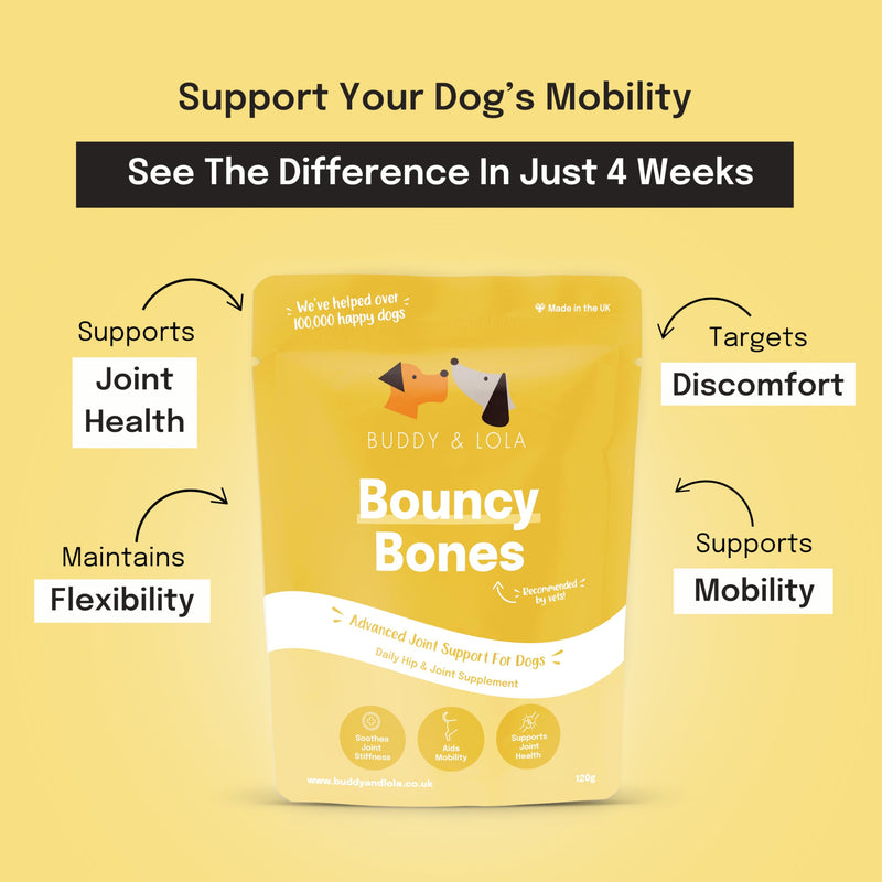 Buddy & Lola Joint Supplements For Dogs With Glucosamine, Chondroitin, Green Lipped Mussel - 10 Key Dog Vitamins, Bouncy Bones Helps with Pain Relief, Joint Support & Stiff Joints 120 g