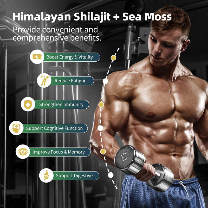 Shilajit for Men, Sea Moss and Shilajit Bundle, All in 1 Supplements with Coenzyme Q10, Black Seed, Ashwagandha, Taurine, Burdock for Energy, Endurance, Antioxidant & Immune Support, 240 Capsules 120 Count (Pack of 2) - BeesActive Australia