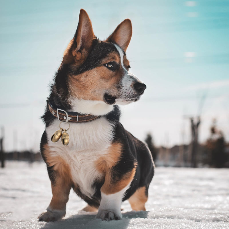 2 Set Copper Bells for Small Dog Collars, Extra Loud Dog Collar Bells Copper Bell Pet Tracker Training Bells Collar Bell for Pets Tracking Anti Lost Training Pet Collar Pendant Accessories - BeesActive Australia