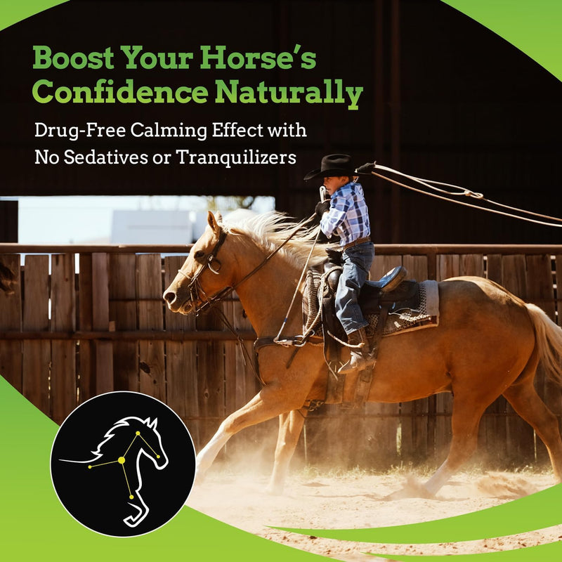 SynChill AF Calming Gel for Nervous Horses - Single Serving - Advanced Formula with L-Theanine, Increased Potency, 100% Natural Supplement, Disposition & Confidence Support for Horses - 3 Pack - BeesActive Australia
