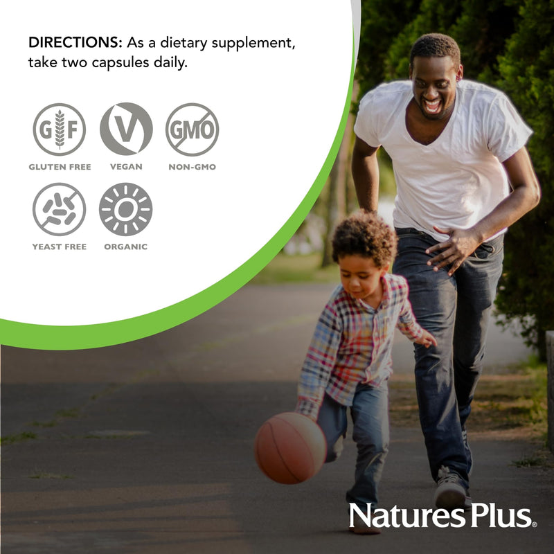 NaturesPlus Source of Life Garden Vitamin B12 - 60 Capsules, Pack of 2 - Includes 20+ Whole Food Extracts - USDA Certified Organic, Non-GMO, Vegan, Gluten Free - 60 Total Servings 60 Count (Pack of 2)