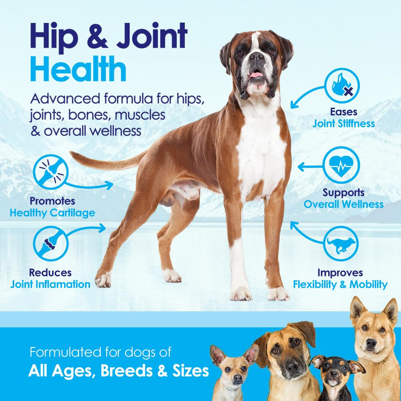 Advanced Glucosamine Powder for Dogs for Arthritis Pain Relief & Hip Dysplasia, Supports Joint Health & Reduces Inflammation with Glucosamine, Chondroitin, MSM & Coral Calcium, 6oz Powder - BeesActive Australia