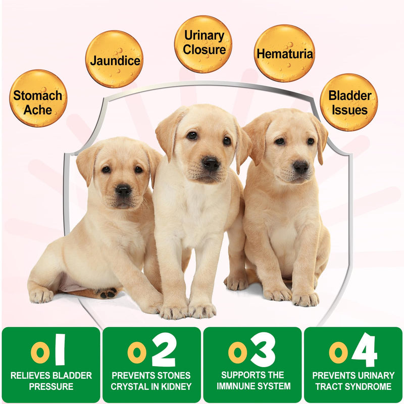 Bladder & Kidney Support for Dogs, Urinary Tract treatment and Bladder Control Supplement, Soft Chews with Cranberry and D-Mannose, Natural Immune System Booster - Peking Duck Flavor (150Pcs) 150Pcs