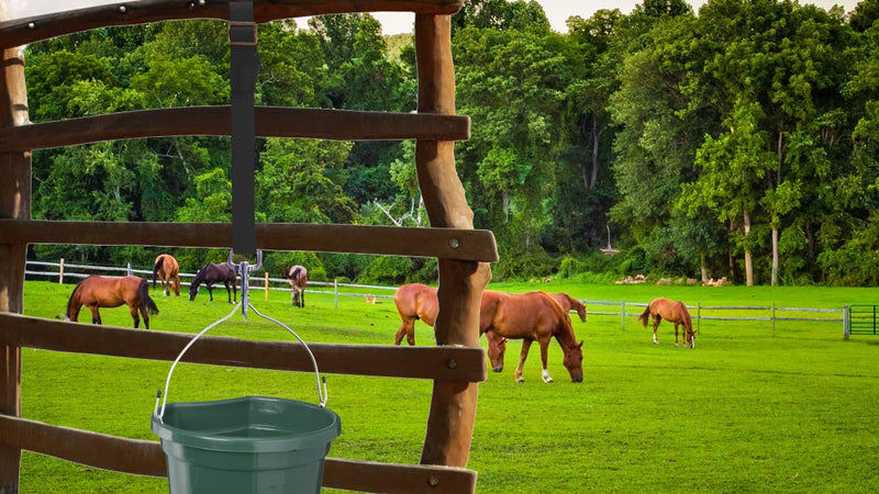 Adjustable Nylon Bucket Strap （5 Pack）- for Hay Nets, Water Buckets, Hanging Strap,Horse Outdoor Feeders,Heavy Duty Horse Water Feed, 30" Black - BeesActive Australia